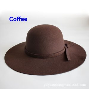 Sofia Wool Felt Large Brim Hat  | Womens Hats